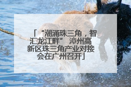 “潮涌珠三角，智汇龙江畔” 漳州高新区珠三角产业对接会在广州召开
