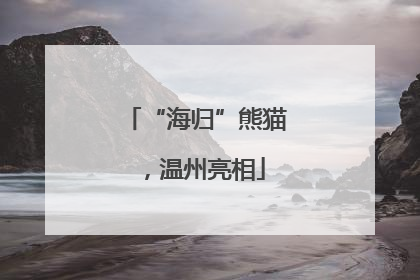 “海归”熊猫，温州亮相