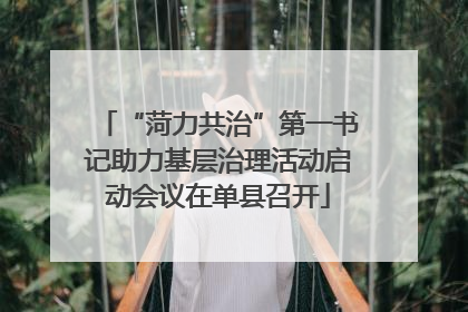“菏力共治”第一书记助力基层治理活动启动会议在单县召开