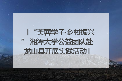 “芙蓉学子·乡村振兴” 湘潭大学公益团队赴龙山县开展实践活动