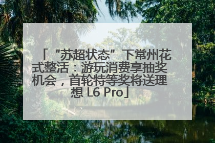 “苏超状态”下常州花式整活：游玩消费享抽奖机会，首轮特等奖将送理想 L6 Pro