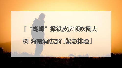 “蝴蝶”掀铁皮房顶吹倒大树 海南消防部门紧急排险