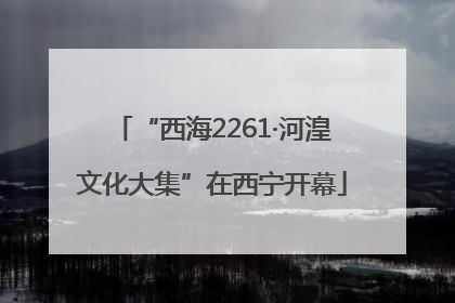 “西海2261·河湟文化大集”在西宁开幕