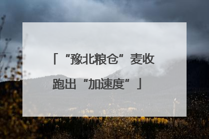 “豫北粮仓”麦收跑出“加速度”