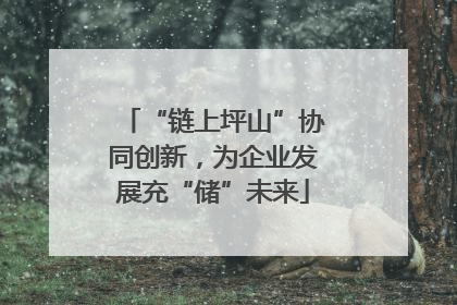 “链上坪山”协同创新，为企业发展充“储”未来
