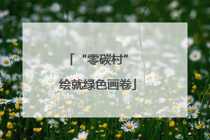 “零碳村” 绘就绿色画卷