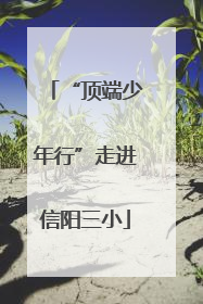 “顶端少年行”走进信阳三小