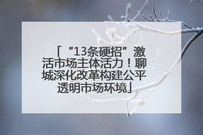 “13条硬招”激活市场主体活力！聊城深化改革构建公平透明市场环境