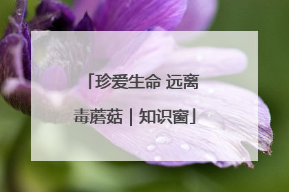 珍爱生命 远离毒蘑菇｜知识窗