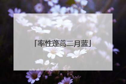 率性蓬蒿二月蓝