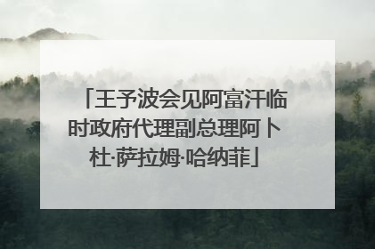 王予波会见阿富汗临时政府代理副总理阿卜杜·萨拉姆·哈纳菲