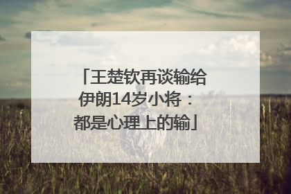 王楚钦再谈输给伊朗14岁小将：都是心理上的输