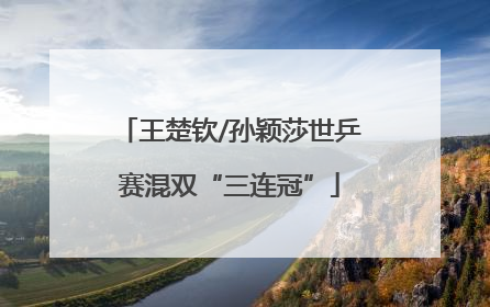 王楚钦/孙颖莎世乒赛混双“三连冠”