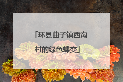 环县曲子镇西沟村的绿色蝶变