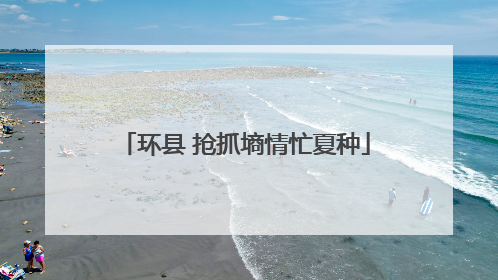 环县 抢抓墒情忙夏种