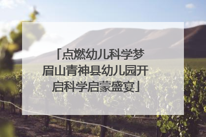 点燃幼儿科学梦 眉山青神县幼儿园开启科学启蒙盛宴