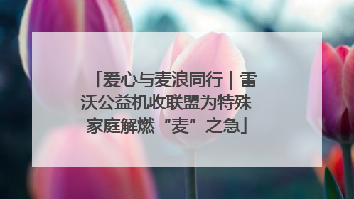 爱心与麦浪同行｜雷沃公益机收联盟为特殊家庭解燃“麦”之急