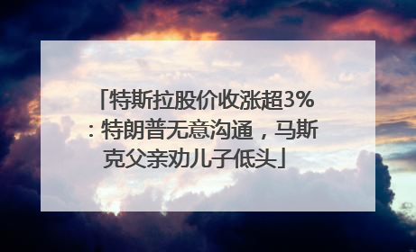 特斯拉股价收涨超3%：特朗普无意沟通，马斯克父亲劝儿子低头
