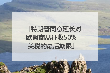 特朗普同意延长对欧盟商品征收50%关税的最后期限