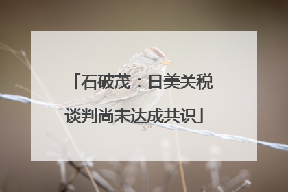 石破茂：日美关税谈判尚未达成共识