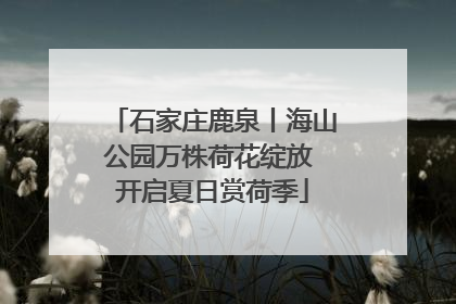 石家庄鹿泉丨海山公园万株荷花绽放 开启夏日赏荷季