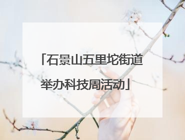 石景山五里坨街道举办科技周活动