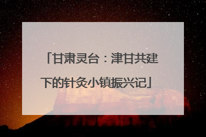 甘肃灵台：津甘共建下的针灸小镇振兴记