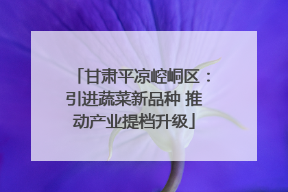 甘肃平凉崆峒区：引进蔬菜新品种 推动产业提档升级