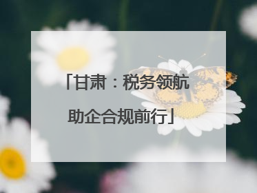 甘肃：税务领航 助企合规前行