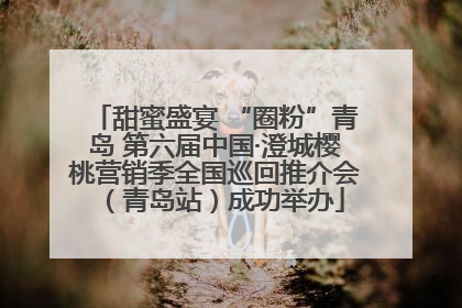 甜蜜盛宴 “圈粉”青岛 第六届中国·澄城樱桃营销季全国巡回推介会（青岛站）成功举办