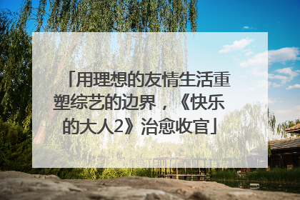 用理想的友情生活重塑综艺的边界，《快乐的大人2》治愈收官