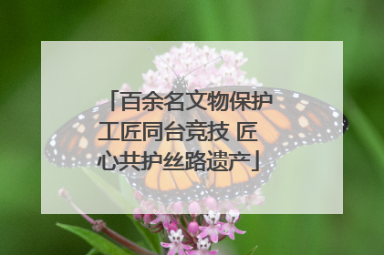 百余名文物保护工匠同台竞技 匠心共护丝路遗产