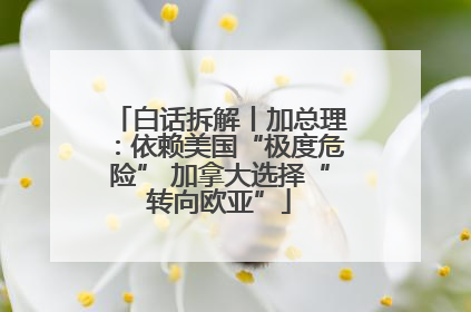 白话拆解丨加总理：依赖美国“极度危险” 加拿大选择“转向欧亚”