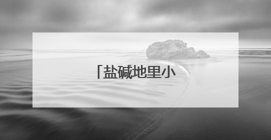盐碱地里小麦收割忙