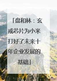 盘和林：玄戒芯片为小米打好了未来十年企业发展的基础