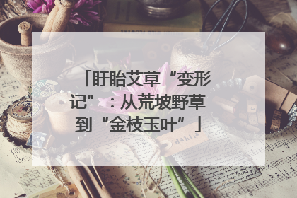 盱眙艾草“变形记”：从荒坡野草到“金枝玉叶”