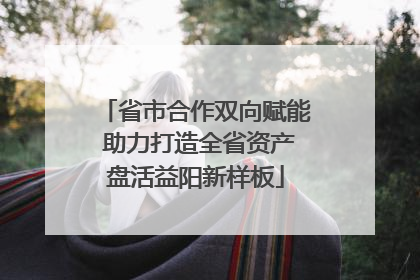 省市合作双向赋能 助力打造全省资产盘活益阳新样板