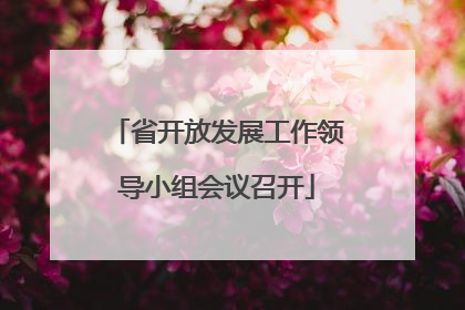 省开放发展工作领导小组会议召开