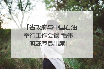 省政府与中国石油举行工作会谈 毛伟明戴厚良出席