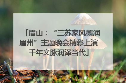 眉山：“三苏家风德润眉州”主题晚会精彩上演千年文脉润泽当代