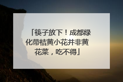 筷子放下！成都绿化带桔黄小花并非黄花菜，吃不得