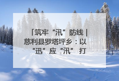 筑牢“汛”防线｜慈利县罗塔坪乡：以“迅”应“汛” 打赢暴雨防御战