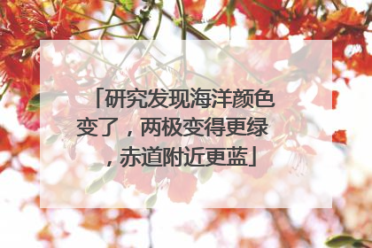 研究发现海洋颜色变了，两极变得更绿，赤道附近更蓝