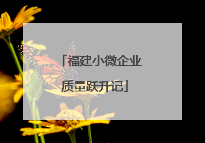 福建小微企业质量跃升记