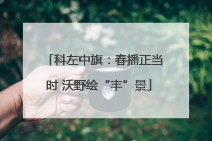 科左中旗：春播正当时 沃野绘“丰”景
