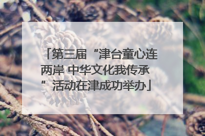 第三届“津台童心连两岸 中华文化我传承”活动在津成功举办