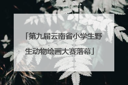 第九届云南省小学生野生动物绘画大赛落幕
