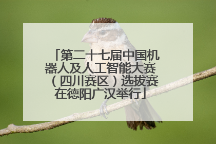 第二十七届中国机器人及人工智能大赛（四川赛区）选拔赛在德阳广汉举行