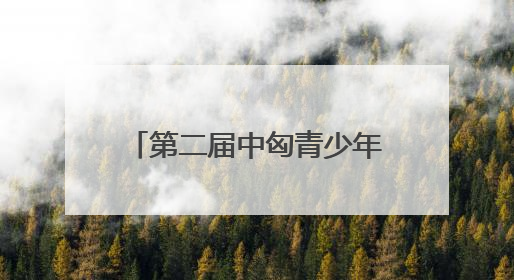 第二届中匈青少年国际魔方公开赛郑州分站赛圆满落幕