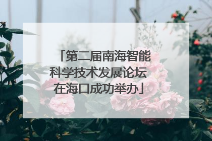 第二届南海智能科学技术发展论坛在海口成功举办